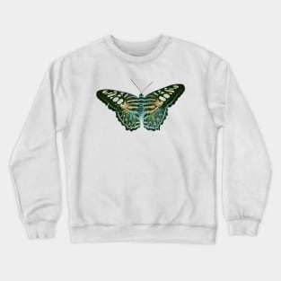 Butterfly Majestic Blue and Orange Crewneck Sweatshirt